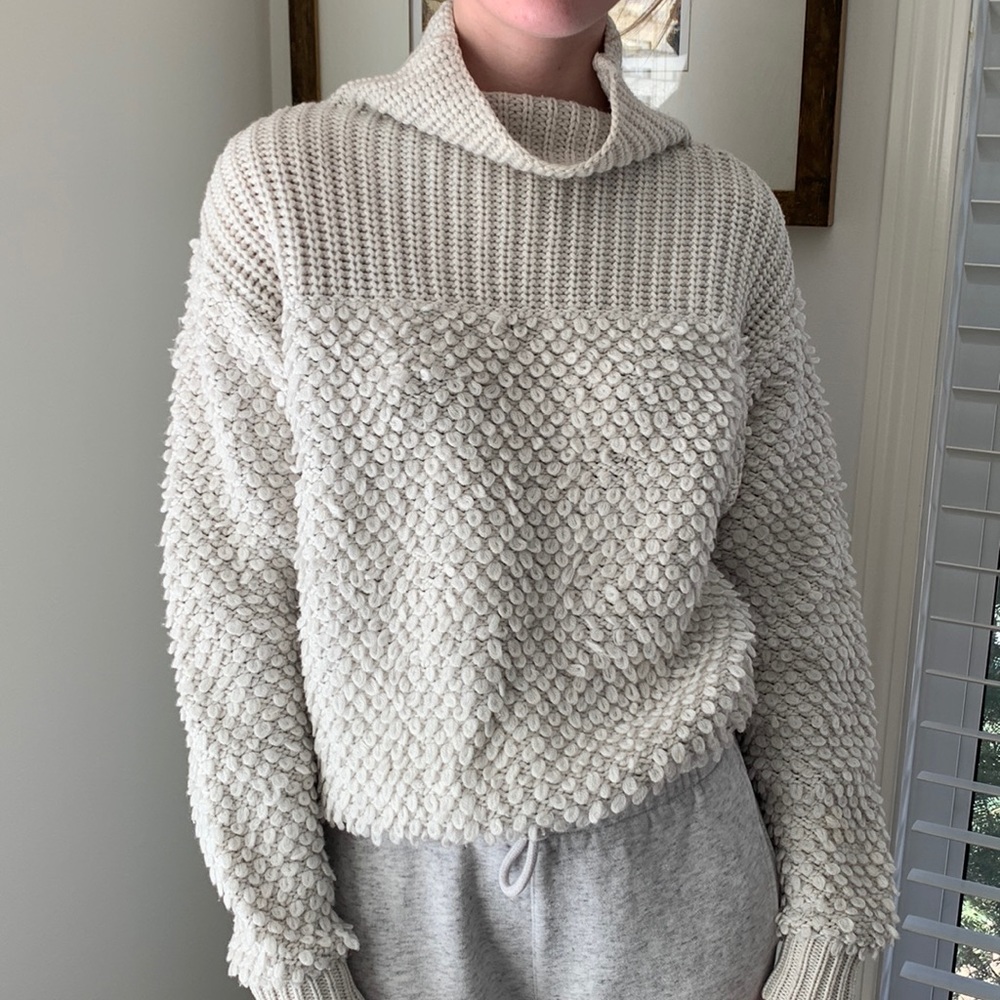 Aritzia Sweater